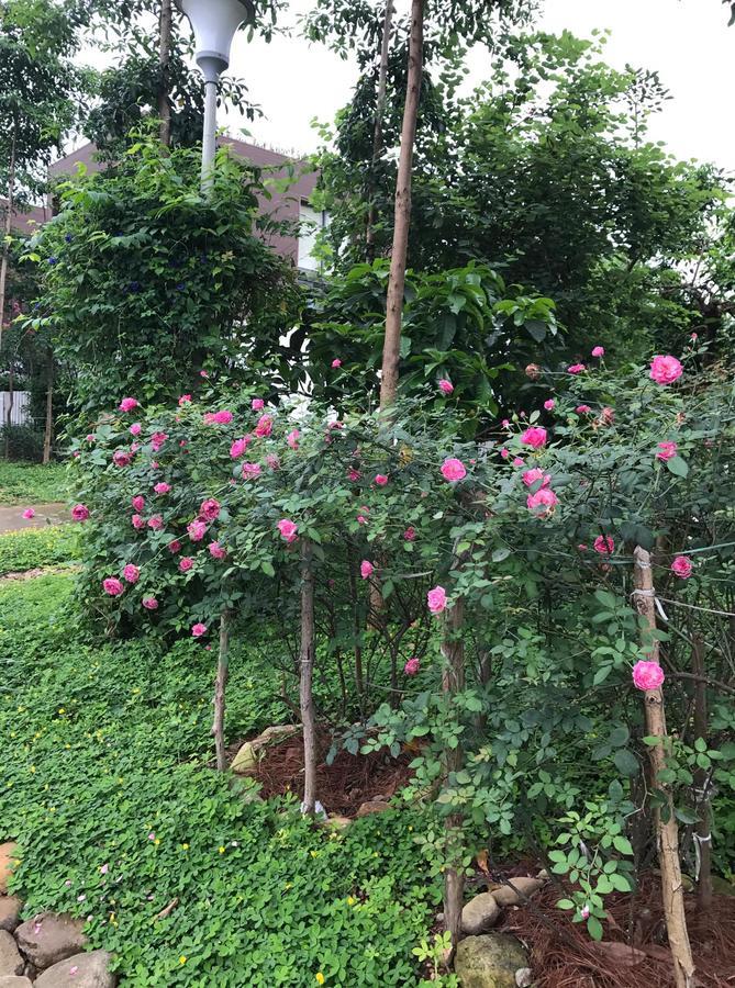 Flamingo Dailai - Hq Villa Ngoc Quang Exteriör bild