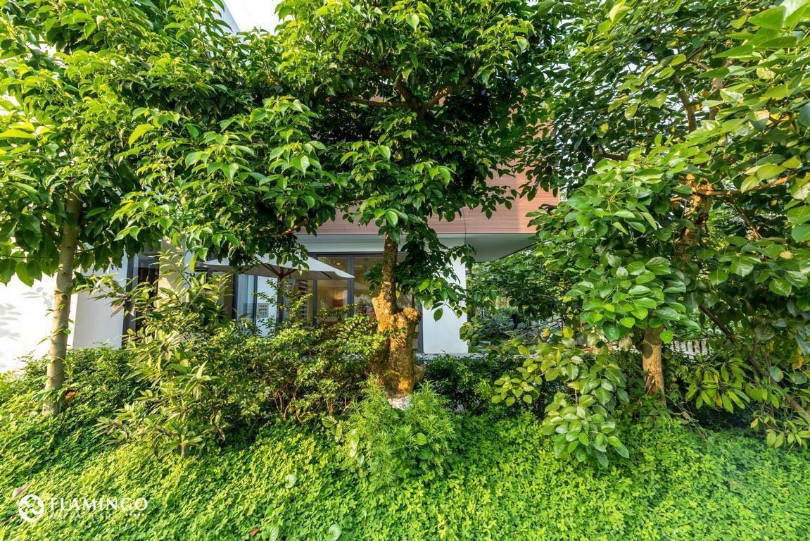Flamingo Dailai - Hq Villa Ngoc Quang Exteriör bild