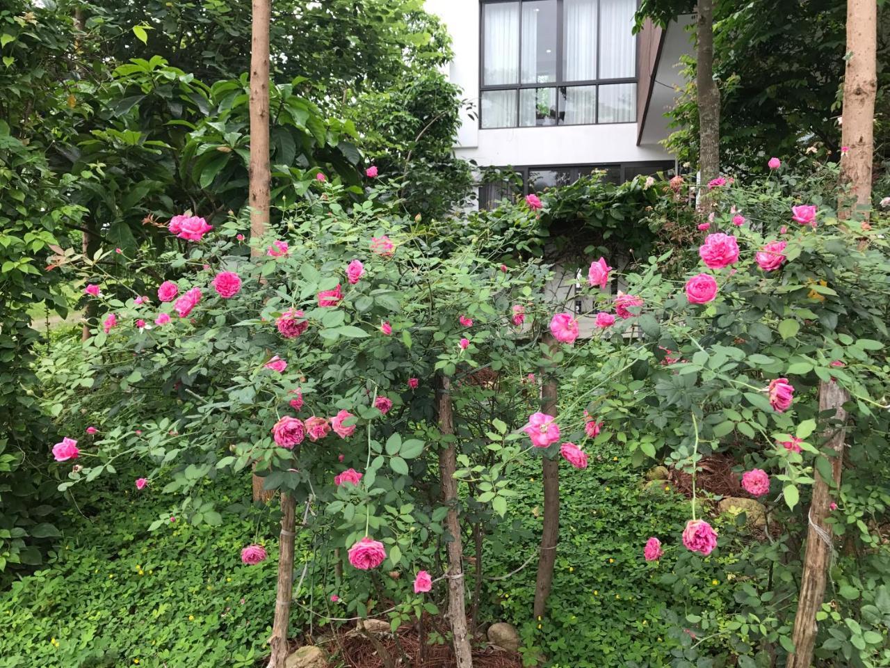 Flamingo Dailai - Hq Villa Ngoc Quang Exteriör bild